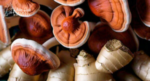 Ginger-and-reishi-mushrooms