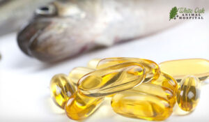 Omega 3 fatty acids