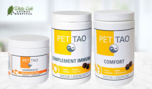 PET | TAO-Complement Immune, Comfort and Harmonize Gi
