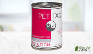 Pet | Tao Zing Dog Food