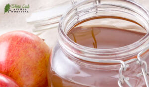 apple cider vinegar