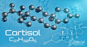 cortisol in cushing syndrome