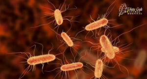 e-coli