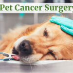 pet cancer surgery