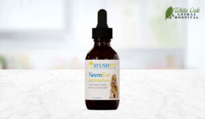 Ayush™ Pet Neem Ear Drops for Dogs and Cats