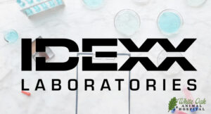 Idexx Laboratories