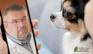 Telemedicine consultation with Dr. Damron - image for Alternative Medicine Recommendations