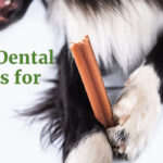 Dental treats for dogs