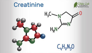 Creatinine