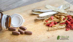 eastern and western medicine