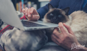 woman at home with cat consulting with vet online