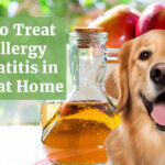How to Treat Flea Allergy Dermatitis in Dogs at Home