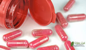 cranberry supplements 