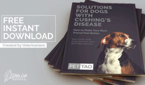 PET | TAO Solutions for Dogs With Cushings Disease free ebook
