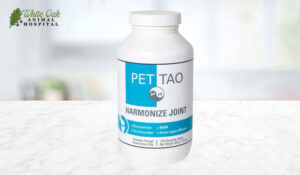 PET | TAO Harmonize Joint