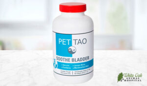 PET | TAO Soothe Bladder Supplement