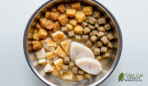 cooling proteins and moisture rich food