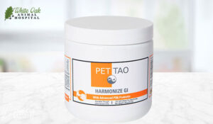 PET | TAO Harmonize GI Supplement