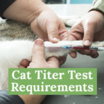 Cat Titer Test Requirements