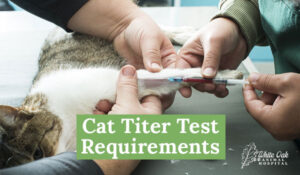 Cat Titer Test Requirements
