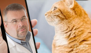 Teleconsult-with-Dr-Damron