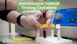 Autoimmune Animal Testing Explained