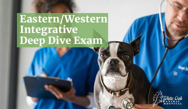 Eastern/Western Integrative Deep Dive Exam