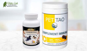 Wei Qi Booster and PET | TAO Complement Immune