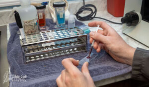 lab testing blood