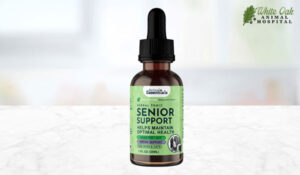 Animal Essentials Senior Support Herbal Tincture for Dogs and Cats