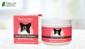 Herbsmith Senior Dog Wisdom: Cognitive Support for Dogs